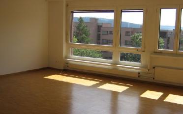 Wohnung 4.5 Zimmer - image - 3