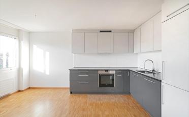 Appartement 4.5 pièces - image - 4