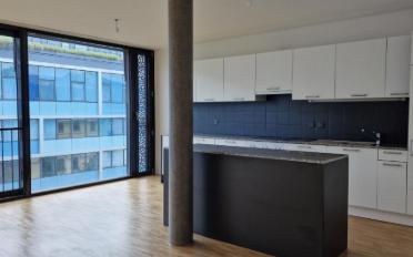 Wohnung 5 Zimmer - image - 2