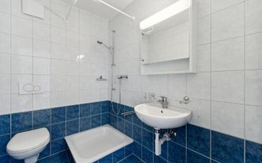 Appartement 3.5 pièces - image - 6