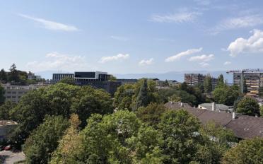 Wohnung 6 Zimmer - image - 11