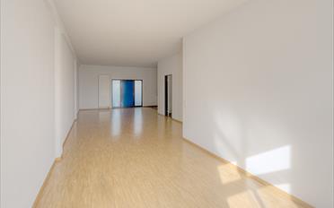 Appartement 2.5 pièces - image - 2