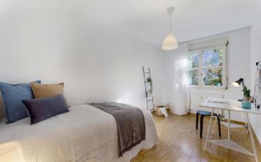 Wohnung 4.5 Zimmer - image - 5