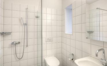 Attic flat 4.5 rooms - image - 5