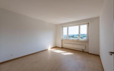 Wohnung 2.5 Zimmer - image - 5