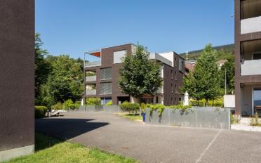 Wohnung 3.5 Zimmer - image - 1