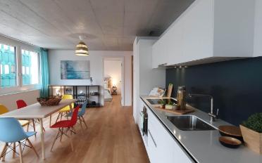 Wohnung 2.5 Zimmer - image - 4