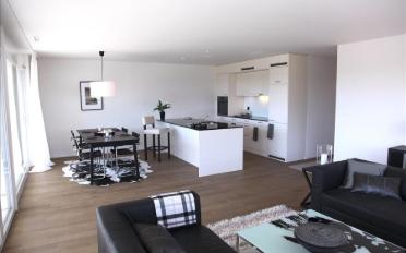 Wohnung 4.5 Zimmer - image - 2