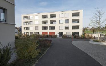 Wohnung 2.5 Zimmer - image - 1