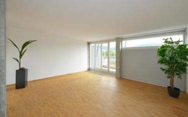 Duplex 4.5 rooms - image - 2