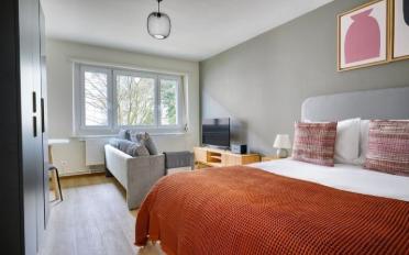 Furnished flat 1.5 rooms - image - 1