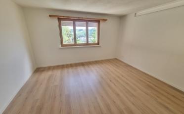 Duplex 5.5 pièces - image - 5