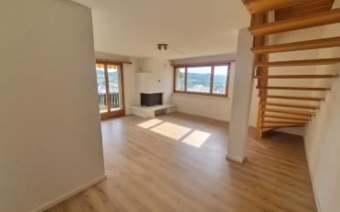 Duplex 5.5 pièces - image - 2