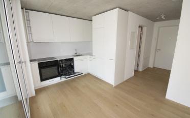Wohnung ein Zimmer - image - 3