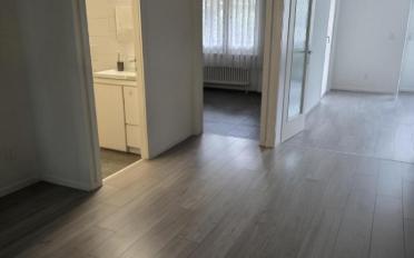 Appartement 3.5 pièces - image - 9