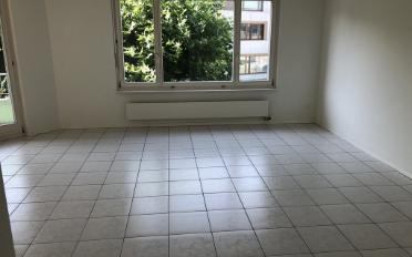 Wohnung 4.5 Zimmer - image - 2
