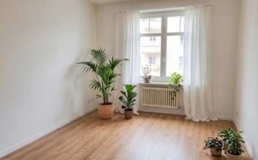 Wohnung 2.5 Zimmer - image - 1