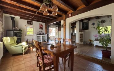 Villa 9 Zimmer - image - 8
