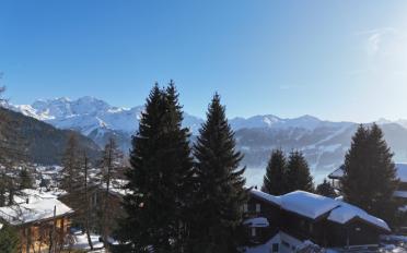 Chalet 6 rooms - image - 5