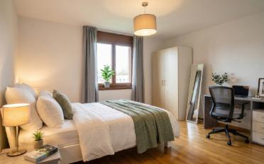 Wohnung 3.5 Zimmer - image - 8