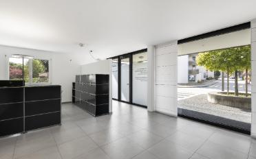 Geschäftshaus 4.5 Zimmer - image - 6