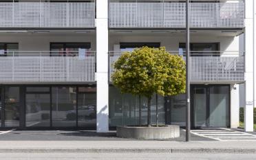 Geschäftshaus 4.5 Zimmer - image - 3