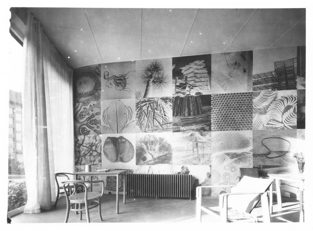 Photomural de Le Corbusier dans la bibliothèque du Pavillon Suisse, Paris, 1933.