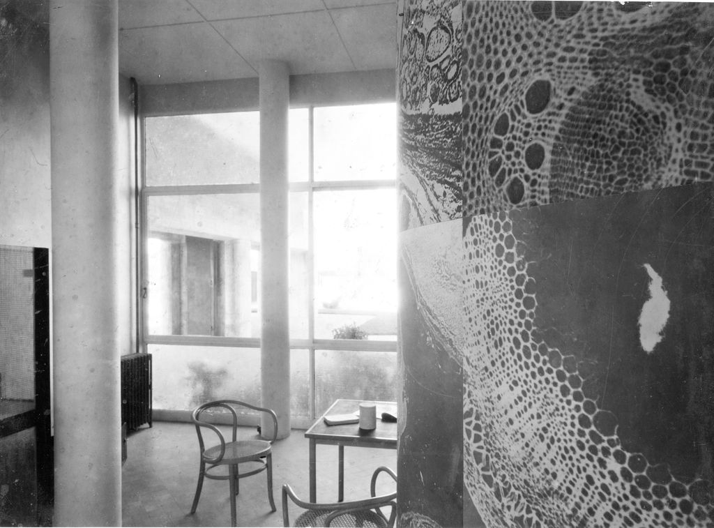 Photomural de Le Corbusier dans la bibliothèque du Pavillon Suisse, Paris, 1933. (1)